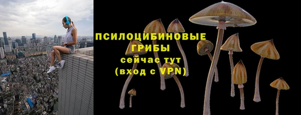 гидра Белокуриха