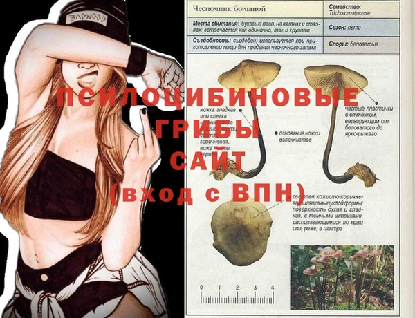 ALPHA-PVP Беломорск