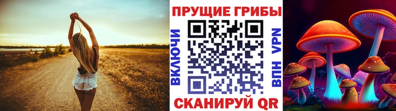 Купить  Городовиковск  Псилоцибиновые грибы Cubensis 